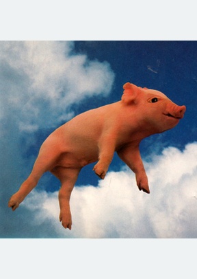QUE SIRHAN SIRHAN