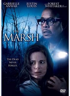 The Marsh