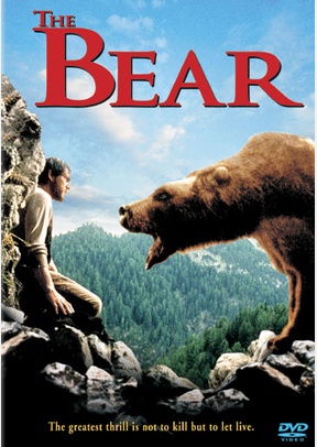 The Bear