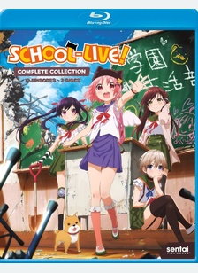 SCHOOL-LIVE:COMP COLL (BR)