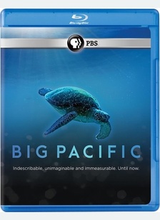 Big Pacific