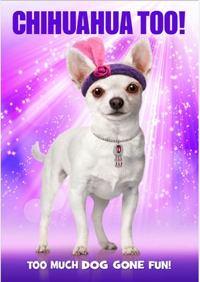 Chihuahua Too!