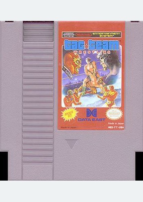 TAG TEAM WRESTLING - NES