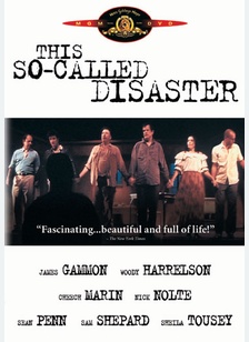 This So-Called Disaster