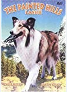 PAINTED HILLS LASSIE