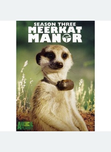 Meerkat Manor: Season Three