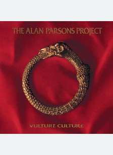 VULTURE CULTURE