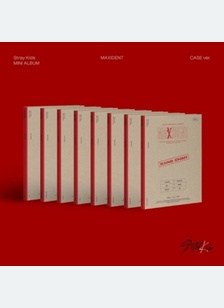 MAXIDENT (PAPER CASE)