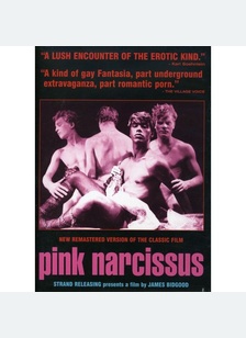 Pink Narcissus