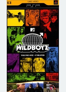 WILD BOYZ:V01 - PSP