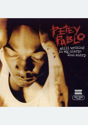 STILL WRITING IN MY DIARY 2ND