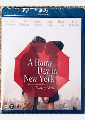 RAINY DAY IN NEW YORK (BR)
