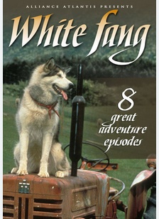 White Fang Volume 3