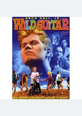 WILD GUITAR