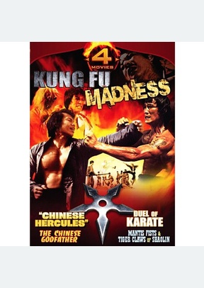 KUNG FU MADNESS
