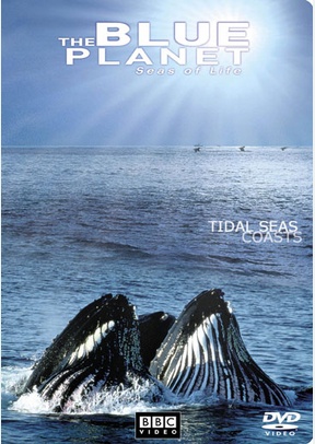 The Blue Planet, Seas of Life: Tidal Seas Coasts
