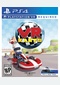 VR KARTS