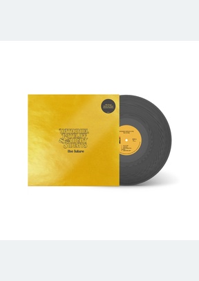 The Future Ie Black Ice Vinyl Ltd Edition