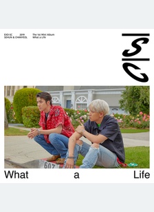 WHAT A LIFE