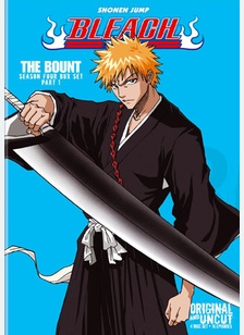 Bleach Box Set 4, Part 1