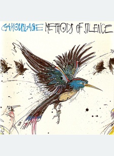 METHODS OF SILENCE