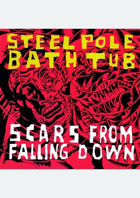 SCARS FROM FALLING DOWN
