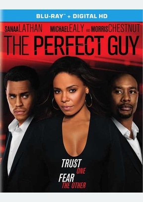 The Perfect Guy