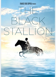 The Black Stallion