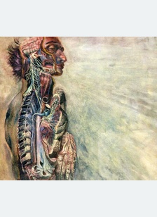 FEAR & NERVOUS SYSTEM