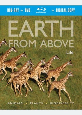 Earth From Above: Life