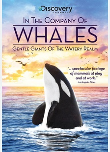 In the Company of Whales