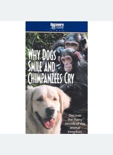 WHY DOGS SMILE AND CHIMPANZEES