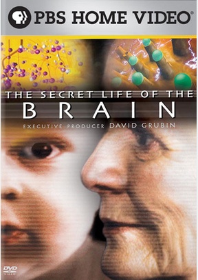 The Secret Life of the Brain
