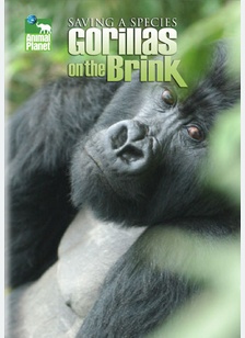 Saving a Species: Gorillas on the Brink