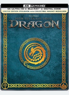 HOW TO TRAIN YOUR DRAGON (STEE