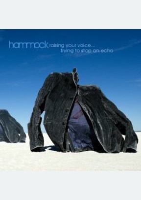 Raising Your Voice...Trying To Stop An E