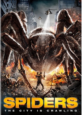 Spiders