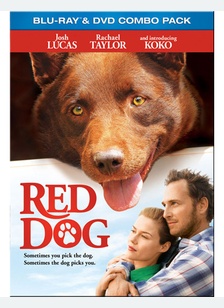 Red Dog