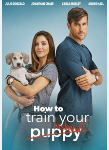 How To Train Your Husband