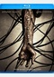 Pandorum