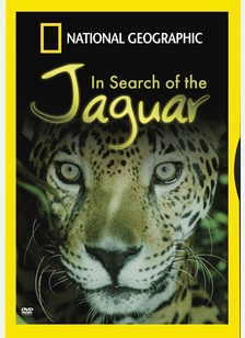 National Geographic: In Search Of The Jaguar