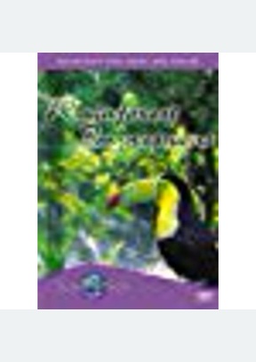 RAINFOREST IMPRESSIONS