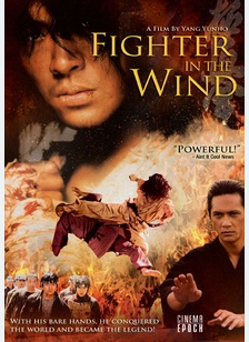 Fighter In The Wind