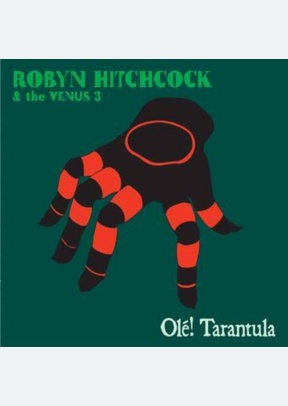 Ole! Tarantula