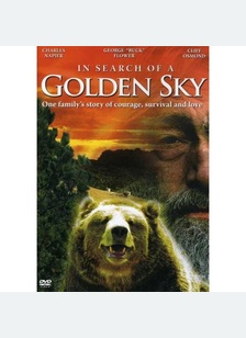 In Search Of A Golden Sky