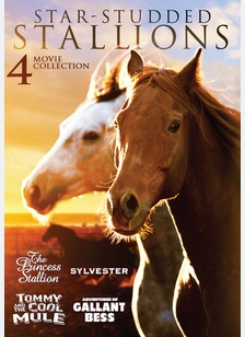 Star-Studded Stallions