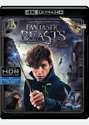Fantastic Beasts and Where to Find Them