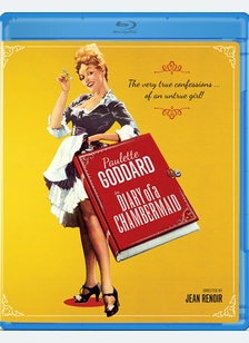 The Diary Of A Chambermaid