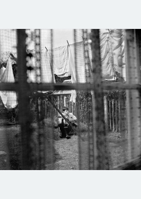 "Chaos And Creation In The Backyard (LP)"