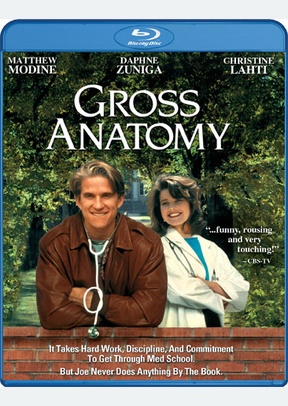 Gross Anatomy